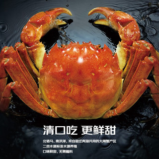 【活蟹】鲜京采&宿有千香联名 鲜活大闸蟹 选蟹师精挑 全母蟹 共礼盒