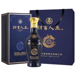 五粮液 财富人生蓝钻 52度浓香型白酒 500ml