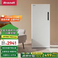 白朗 Brandt 法国白朗全屋取暖器家用暖气片立式电暖器速热暖风机客厅大面积节能电暖气快热炉2025年旗舰 H32