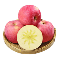京喜加甘肃静宁红富士高山苹果脆甜多汁苹果 陕西时效更快 甘肃高山富士8.5斤装80-90mm