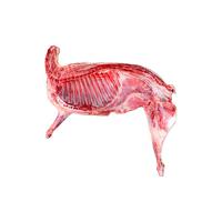 赶羊倌宁夏滩羊 半只羊精分割生鲜羊肉新鲜食材羔羊原切 6斤组合（蝎子+羊排+羊后腿）