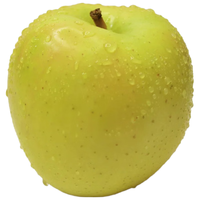 京地达山东黄金维纳斯苹果精品礼盒净重4.5斤大果单果200g+源头直发 维纳斯精品礼盒4.5斤京东快递