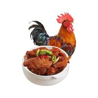 天农 清远鸡大公鸡供港土鸡肉散养128天谷饲走地鸡新鲜肉火锅鸡煲
