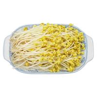 GREENSEER 绿鲜知 黄豆芽 350g