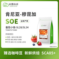 咖蒙咖蒙咖啡豆 手冲单品SOE肯尼亚AA精品咖啡豆新鲜烘焙可现磨咖啡粉 浅度烘焙 不磨粉 250g