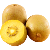 静益乐源 黄心猕猴桃 10枚大果单果90-110g