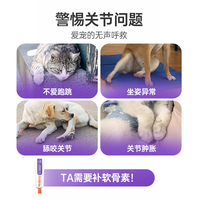 红狗（RedDog）营养膏猫咪软骨素狗狗乳铁蛋白氨基酸鱼油益生菌卵磷脂猫草片 【强健关节】软骨素关节膏120g