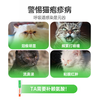 红狗（RedDog）营养膏猫咪软骨素狗狗乳铁蛋白氨基酸鱼油益生菌卵磷脂猫草片 【远离鼻涕】赖氨酸营养膏120g