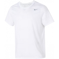 耐克（NIKE）T恤男士 24春夏运动服装跑步衣纯色棉质半袖透气圆领短袖 全棉亲肤/热推款/晒图退5 L/175/92A 全棉亲肤/热推款/晒图退5