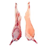 盐滩记 羊肉新鲜宁夏滩羊半只羊现杀全羊整只乳羔羊年货礼盒羊腿羊排清真 10斤半只乳羔羊（断骨连肉）