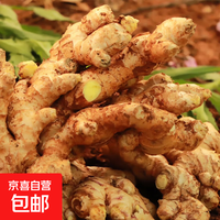 小黄姜 滇鲜生 云南农家小黄姜 3斤