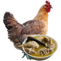 土记散养黄油老母鸡净重4.5-5斤(两只) 土鸡走地鸡净膛清理鸡肉生鲜