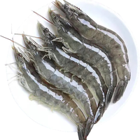卖鱼七郎青岛大虾3斤（净虾2.7斤+保护冰0.15kg）27-40只盐冻白虾基围虾 青岛盐冻20/30虾2.7- 3斤(净重)