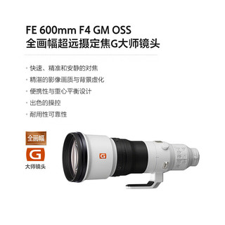  SONY/索尼 中长焦人像打鸟 全画幅镜头