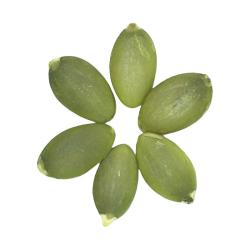 汀然 南瓜籽仁 500g