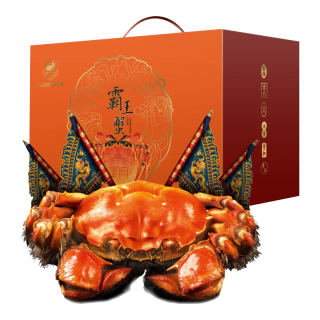 宿有千香 鲜活大闸蟹 公3.2-3.5 母2.2-2.5两 5对10只 去绳足重 蟹类礼盒