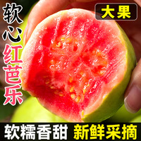 广西软糯红心芭乐新鲜水果9斤番石榴脆甜软糯胭脂红巴乐整箱