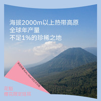 【樱花】武汉樱花季花魁挂耳埃塞古吉罕贝拉日晒便携滴滤 【1盒*7片】樱花季款花魁挂耳