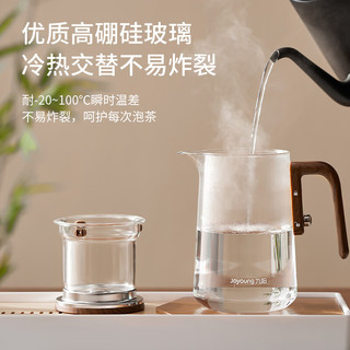 九阳玻璃茶壶耐热飘逸杯磁吸式泡茶杯泡茶器泡茶壶茶水分离杯 【磁吸式一拨即滤】WR504- 800ml