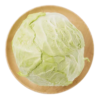 小汤山 圆白菜 800g