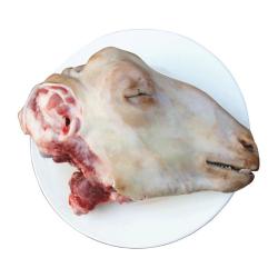羊小柒 宁夏滩羊肉生鲜  羊头3斤左右 国产清真羊肉 源头直发