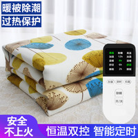 暧倍尔 电热毯双人双控电褥子单人电热毯宿舍智能定时加大家用电褥子（图案） 印花定时