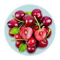 鲜友季智利车厘子桑提娜【JD】jjjj车厘子大樱桃年货礼盒 1.6斤(净重) 礼盒 超大果 2J 单果28-30mm
