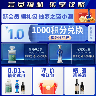  YANGHE/洋河 浓香型白酒