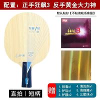 银河银河PRO-01乒乓球拍底板专业一号pro01外置蓝芳碳快攻弧圈进阶 直拍【狂飙3+黄金大力神】