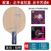 银河银河PRO-01乒乓球拍底板专业一号pro01外置蓝芳碳快攻弧圈进阶 直拍短柄【省狂蓝海绵+咒语M】