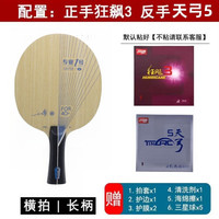 银河银河PRO-01乒乓球拍底板专业一号pro01外置蓝芳碳快攻弧圈进阶 横拍长柄【狂飙3+天弓5】
