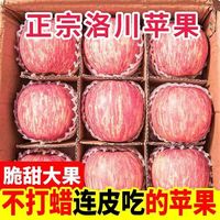 果真秀陕西洛川 新鲜红富士苹果脆甜应季新鲜水果整箱 苹果 5斤带箱大果