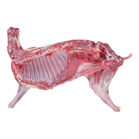 九曲食珍草原羔羊肉半只羊 新鲜羊肉羊腿羊排 羊蝎子火锅 年货 【10斤装】分割半只羊