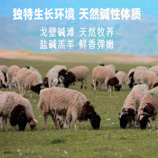 三疆牧羊 巴音布鲁克黑头羊乳羔羊前腿