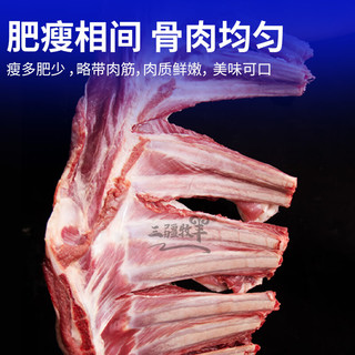 三疆牧羊 新疆草原羔羊肉整排（4斤）