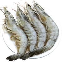 北海湾 特大2030青岛大虾鲜活速冻超大基围虾海鲜水产