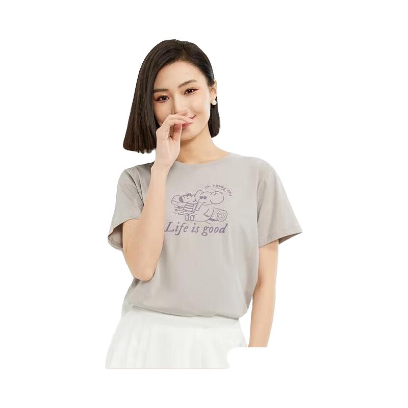 06海豚灰