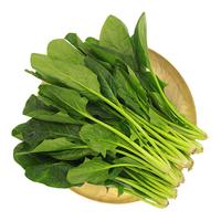 GREENSEER 绿鲜知 菠菜 400g