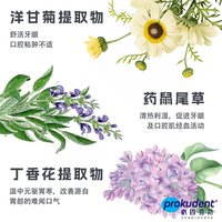  prokudent/必固登洁 固齿护龈 漱口水