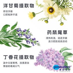prokudent 漱口水