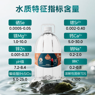 文森卡 天然含硒弱碱性软水饮用山泉水 5L*2桶