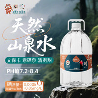 文森卡 天然含硒弱碱性软水饮用山泉水 5L*2桶