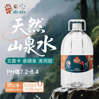文森卡 天然含硒弱碱性软水饮用山泉水 5L*2桶