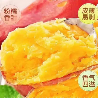 北森南屿新鲜龙九蜜薯沙地番薯黄心蜜薯现挖糖心红薯农家板栗地瓜烤煮皆可 带箱5斤小果（单果约50-150g）