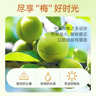 山味情九制话梅干罐装梅干泡水喝梅子孕妇休闲零食解馋果干果脯蜜饯梅肉 【】1罐