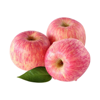 京觅山东苹果净重4.5斤 单果75mm+ 时令新鲜水果 源头直发