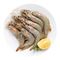 量道 厄瓜多尔白虾 (2kg 70-90只)