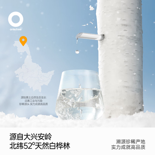only tree100%白桦树汁大兴安岭0卡0脂肪NFC天然植物原液饮料245ml*10瓶 100%白桦树汁245ml*10瓶