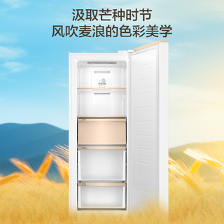  Haier/海尔 无霜 立式冰柜