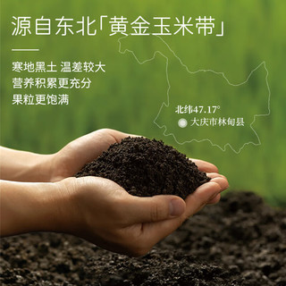 亲耕有机脱皮玉米粒开袋即食 1（*10袋）